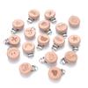 1Pcs 21 Style Baby Beech Pacifier Clips Heart Animal Rainbow Pattern Wooden Metal Clips for Nipple Holder Dummy Clip Soother
