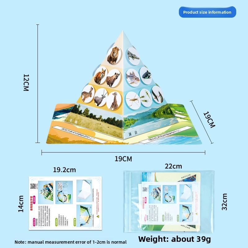 Paper Food Chain Pyramid Model Assembly Material Set Puzzle Toys For Children Educational Biology Set