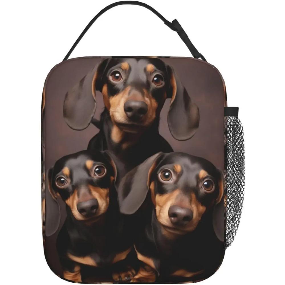 Lunch Box for Adults Women Men Cute  Lunch Bag Reusable Insulated Lunch Bag Container Gifts for Office Picnic Travel Work School