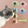 Fournitures de santé pour chats, herbe à chat naturelle pure, boule de bonbons, jouet rotatif, dentifrice molaire pour chat, Bolus comestible, nettoyage des dents, jouets résistants aux morsures