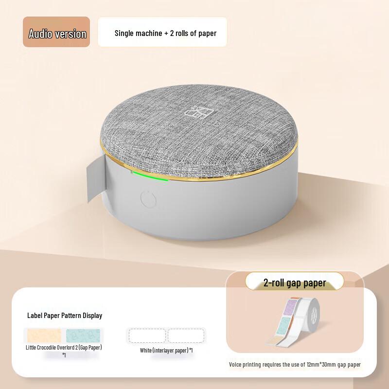 Hanyin H21 Voice Label Printer with 2 Rolls of Paper