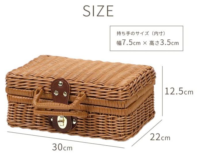 Suitcase Company Basket Bag, Trunk, Medium, Picnic, Wicker, Storage, Small Item Basket, GPT, White