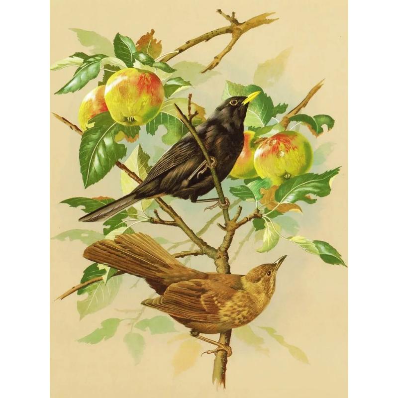 Canvas paintings, animals, birds, home decor, gift craftsmanship, living room, bedroom, wall decoration