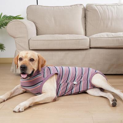 Dog Clothes Doggy Kitten Diaper Pet Physiological Clothing for Small Medium Dogs