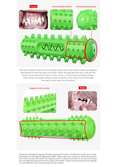 Squeaky Dog Chew Toy & Toothbrush Stick
