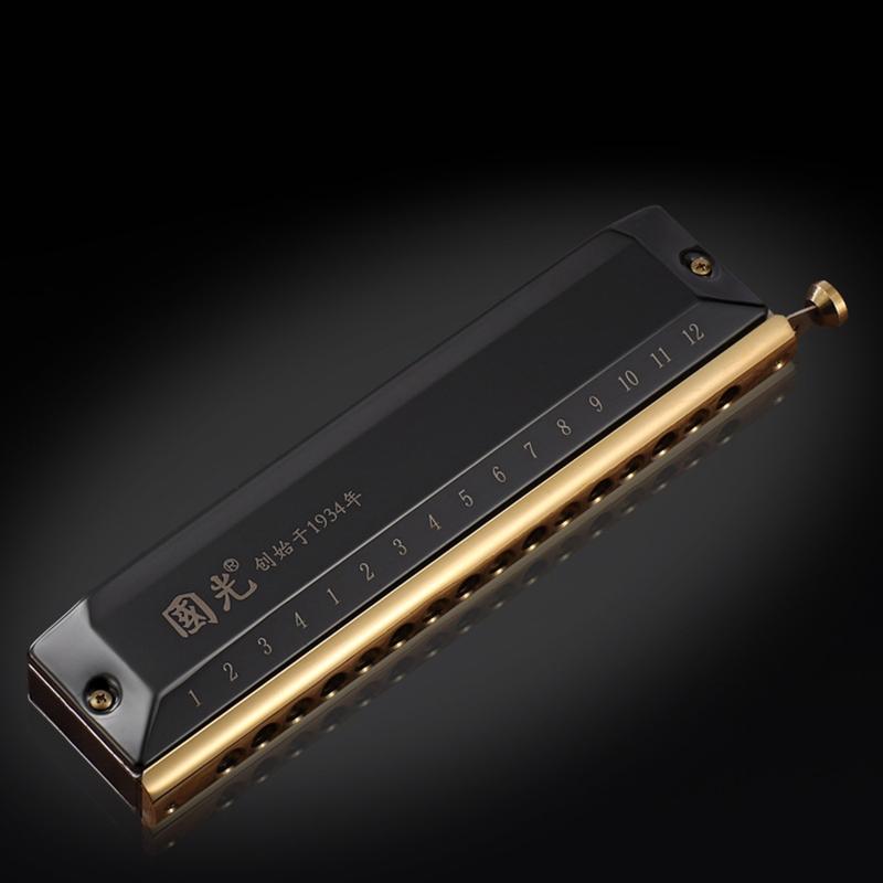 12 Holes Blues Harp Diatonic Harmonica 48 Tones Mouth Organ Harmonica For Adults