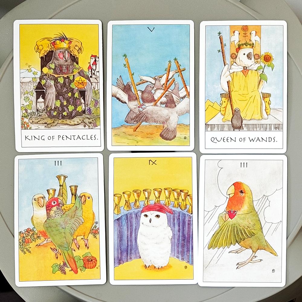 Skurriles Vogel-Tarot Deck 80 handgezeichnete Papageien-Tarotkarten Einzigartiges Geschenk für Vogelliebhaber 350 g/m² Doppelgeprägter Karton 10x6,5cm