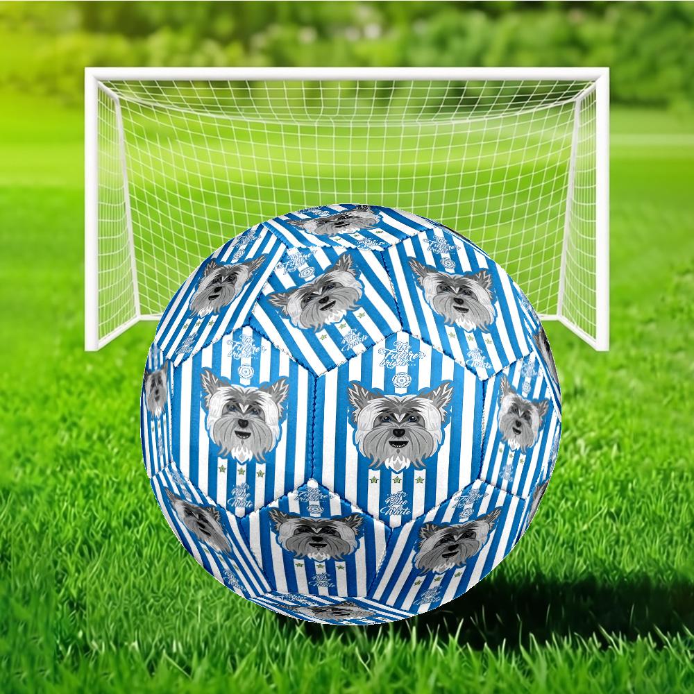 Yorkie Football Spirit Soccer Ball Size 5 Soccer Ball, Machine-stitched, Soft and Comfortable, Suitable for Training and Matches Fan Gift