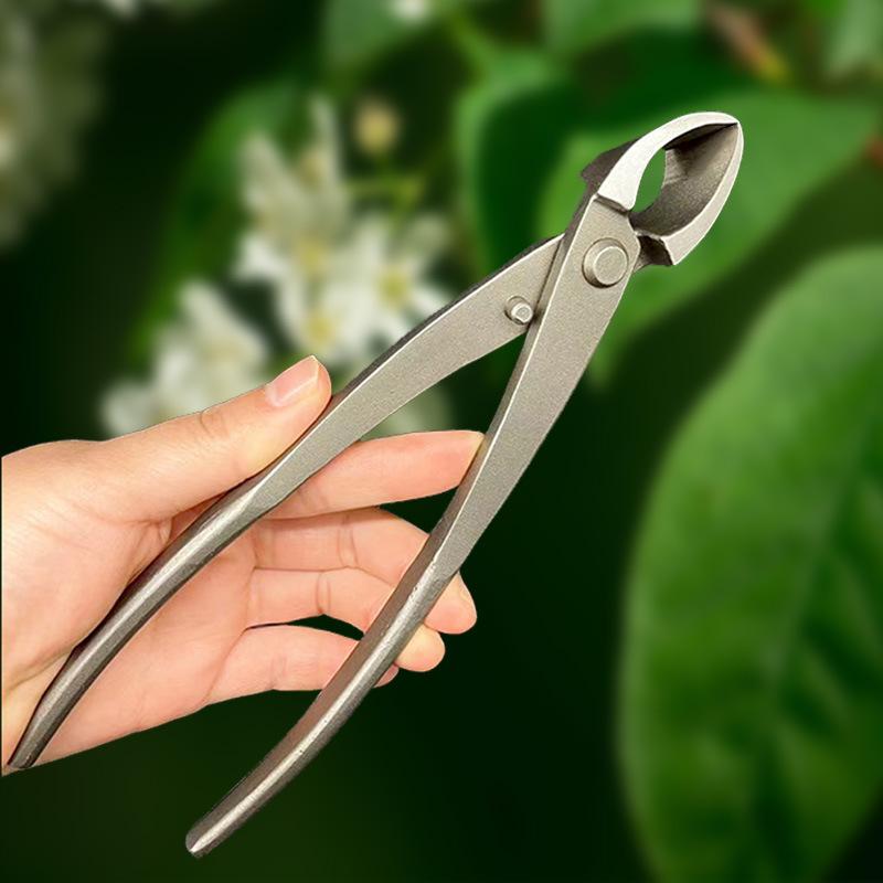 

Heavy Duty Bonsai Ball Tongs and Scissors for Precise Pruning Gardening Tools with Non Slip Grip and Rust Resistant Finish. Gold