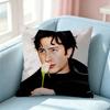 Hudson WWilliams SShane Hollander Pillow Case Square DoubleSided Sofa Cushion Cover Bedroom Bedside Pillow