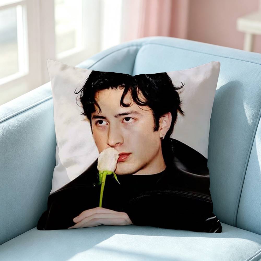 Hudson WWilliams SShane Hollander Pillow Case Square DoubleSided Sofa Cushion Cover Bedroom Bedside Pillow