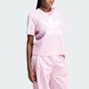 Adidas Originals Adicolor Trefoil Boxy Tee With Letter Logo Print Women Tops Pink IN2492