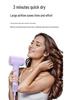 Low Noise Negative Ion Japan Hair Dryer - Three-Speed Household Model