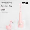 Bayer K7 Kids Sonic Electric Toothbrush CN Plug (adapter Included)