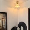 compact glass ceiling light with milky brass suction E26 LED Ideal for and other ceiling Bulb not Stylish, white, flower-shaped design, cup, base,