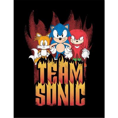 Team Sonic Framed Poster