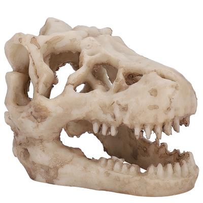 Decorazione per Acquario Serbatoio Pesci Forma Teschio di Dinosauro Artificiale Simulazione per Decorazione Piante Acquatiche