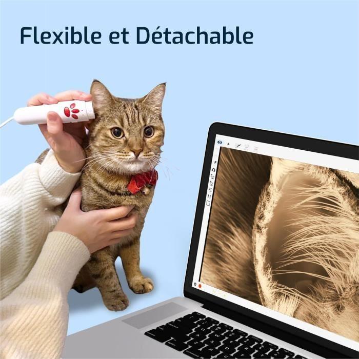 USB-Dokumentenkamera - inswan - ins-3 - HD 2560x1920p - LED, Mikro, Autofokus