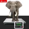 Yingheng Digital Platform Scale with Printer Display (CN version)
