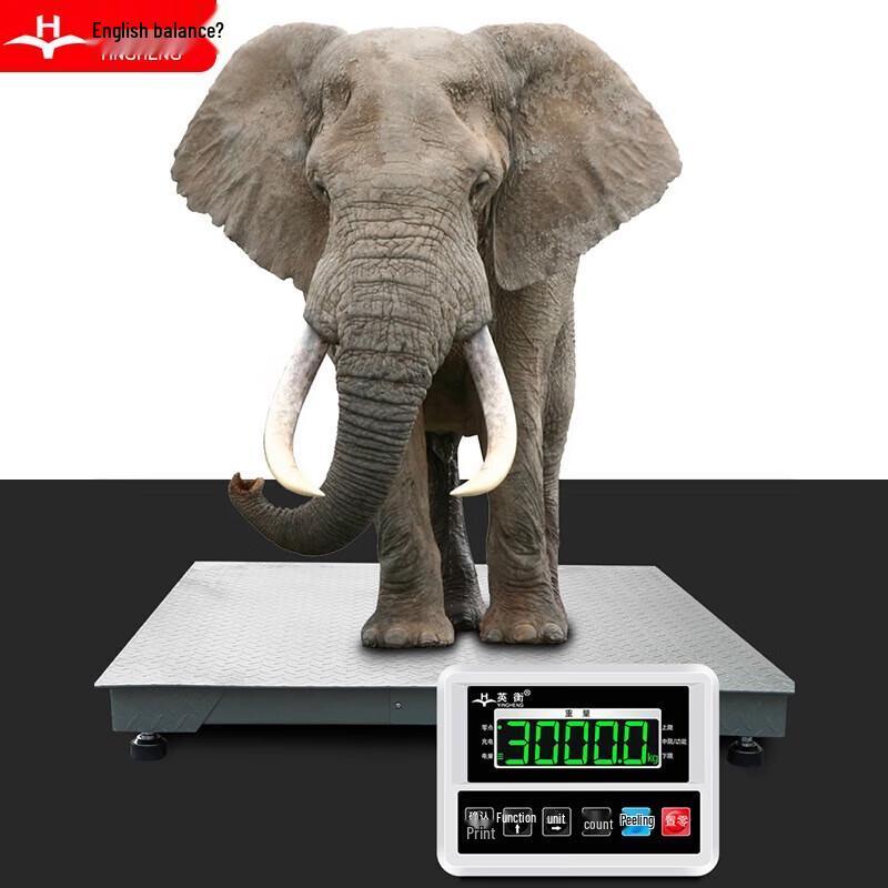 Yingheng Digital Platform Scale with Printer Display (CN version)