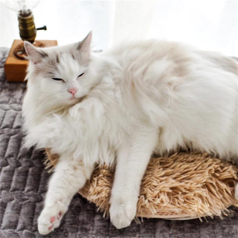 Electric Pet Heat Pad Heater Mat Blanket Dog Cat USB Warmer Bed Winter Plush