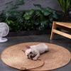Kedi Tırmalama Tahtası Rattan Mat Tahtası Kedi Tırmalama Tahtası Tırnakları Bilemek İçin Kazıyıcı Kediler Ağaç Kedi tırmalama direği Kanepe Matları Mobilya Koruyucu