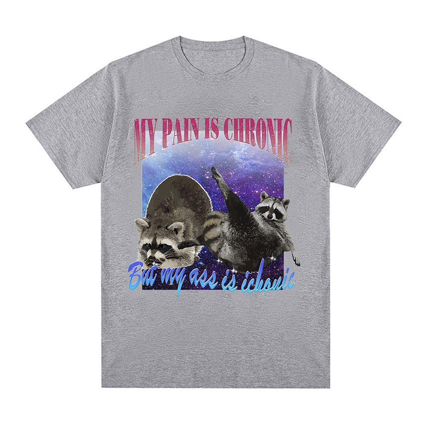 My Pain Is Chronic But My Ass Is Iconic Meme T Shirt Funny Sad Opossum Graphic TShirt Mens Women Fashion Cotton Oversized Tees