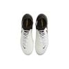 Nike Phantom Luna 2 Pro FG White Black Metallic Gold Coin Men Sneakers FJ2575-100