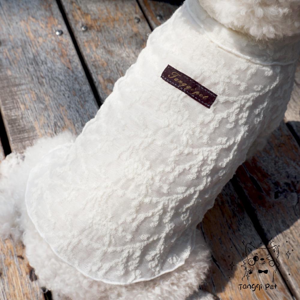 Tangqi Japon Modası Yün ve Dantel Kedi ve Köpek İçlik
