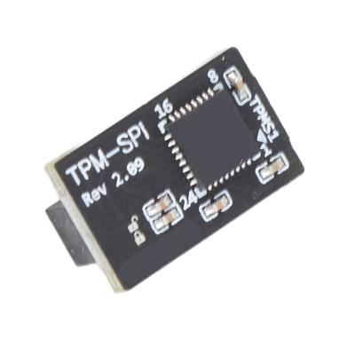 TPM Module 14 Pin SPI Remote Card Encryption Security Board for Asrock Motherboard
