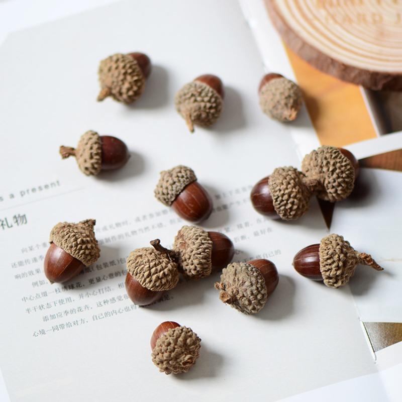 10pcs Natural Pinecone Branch for 2026 New Years Decoration Cone Pine Berries for Home Decor Party DIY Gifts Accessory