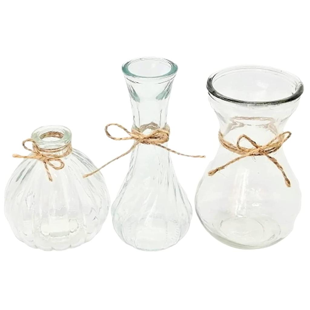 KINOKINO Vase Small Glass Flower Single Stem 3-Piece Set Stylish Scandinavian Transparent Mini Jute String Ikebana Hydroponics Interior