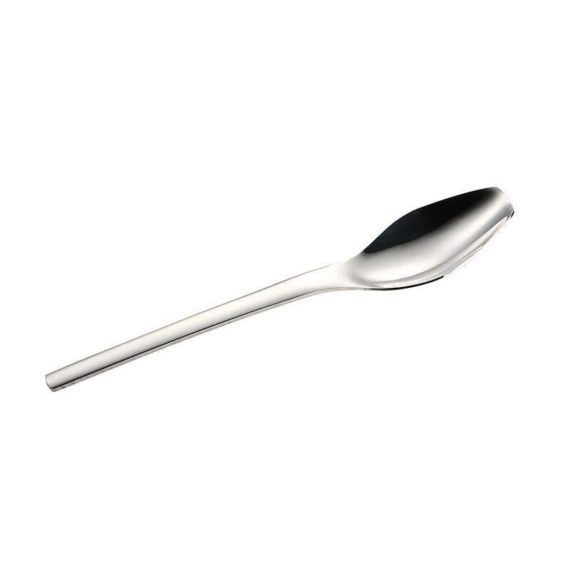 Ruhan Small 304 Stainless Steel Dessert Spoon - Set of 5