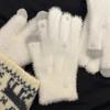White Soft Plush Gloves Women Winter Warm Coral Fleece  Gloves Girls Korean Full Finger Thicken Furry Glove Mittens