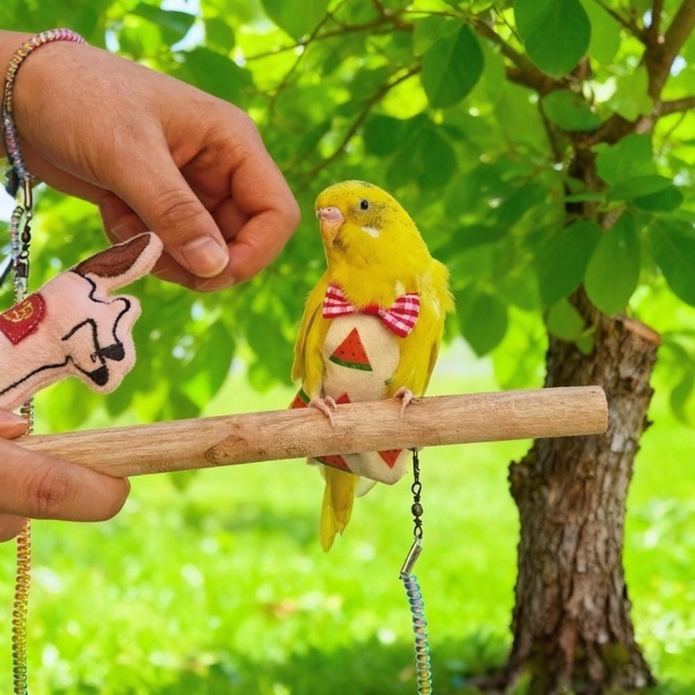 Anti-Bite Bird Harness Leash Adjustable Anti-flying Bird Training Rope Lightweight Elastic Rope Parrot Traction Rope