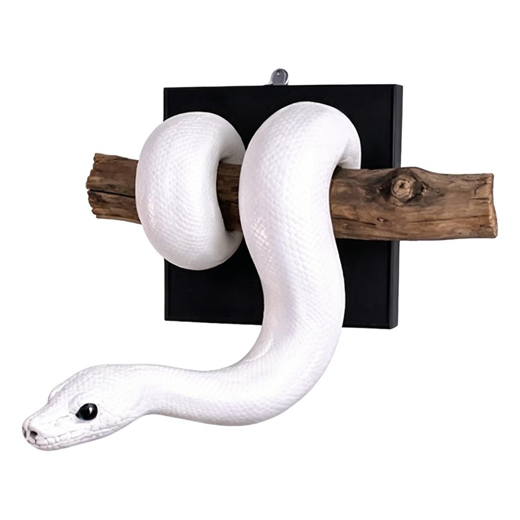 Scultura Murale Pitone Reale Arte Murale Decorativa Ornamento da Appendere a Forma di Serpente per Decorazione Casa Ufficio Soggiorno