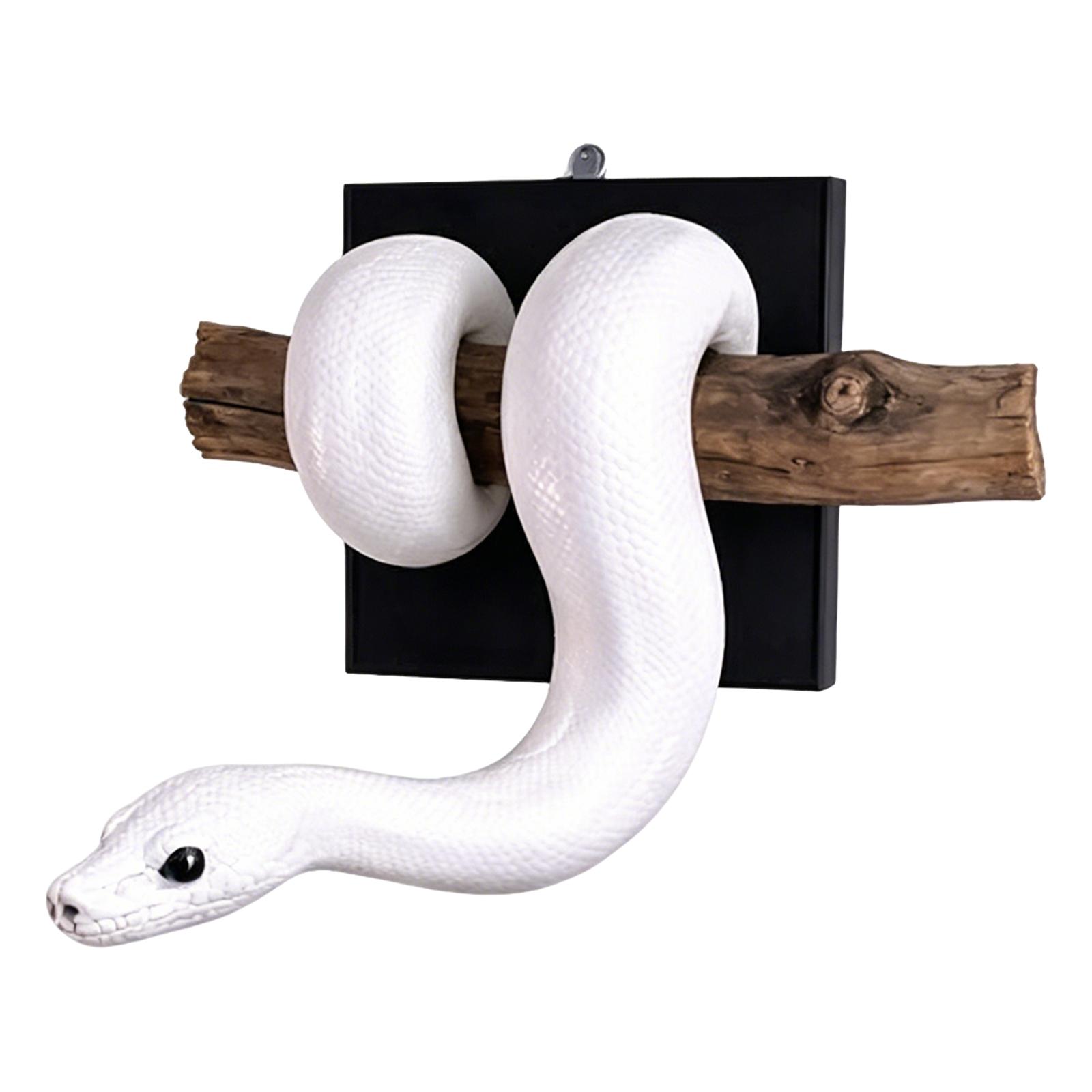 

Interesting Ball Wall Sculpture, Wall Art Decoration One Size білий
