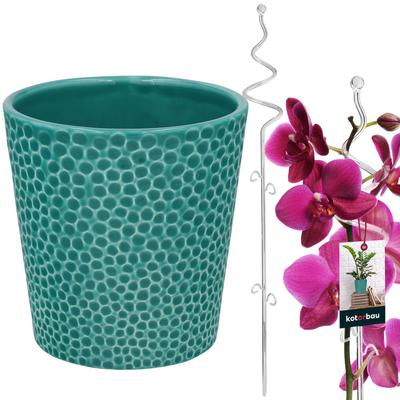 Kotarbau® Set Of Turquoise Flower Pot 11 Cm With Transparent Support 58 Cm For Flowers Ceramic Flower Pot Plastic Plant Support Set For Orchids