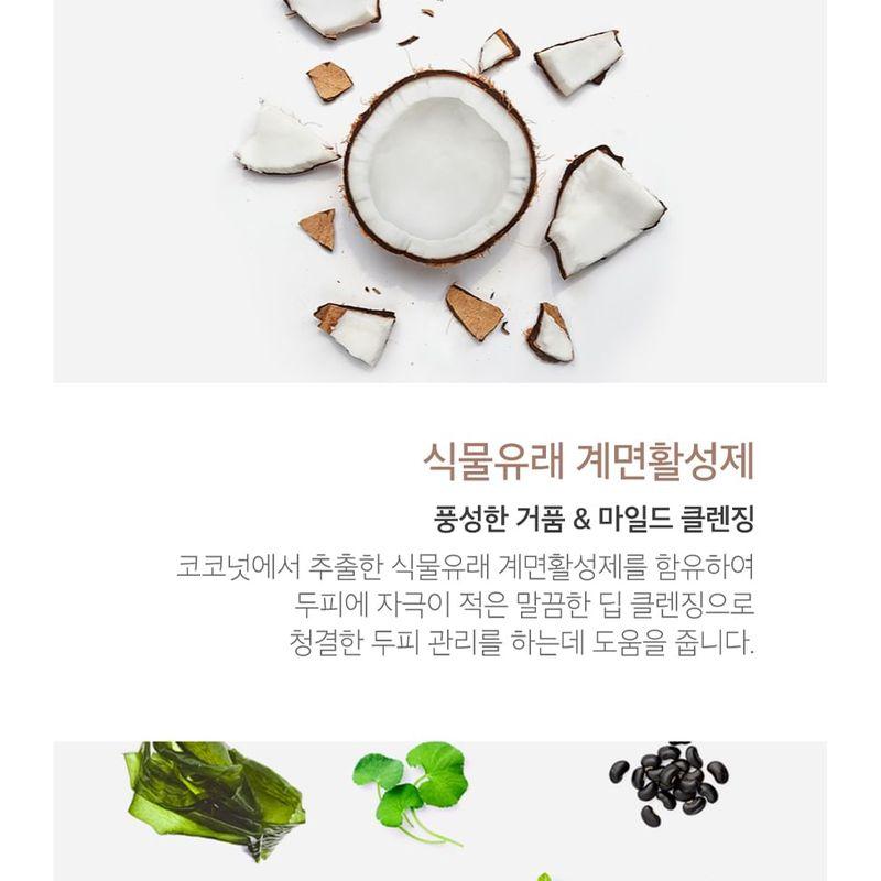 KUNDAL - Honey & Macadamia Pure Natural Balancing Refreshing Shampoo - 8 Types