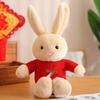 2023 Year of the Rabbit Red Plush Toy - Rabbit Mascot Doll & Gift