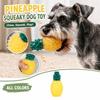 Squeaky Dog Toy Shape Freezable TPR Rubber Toy for