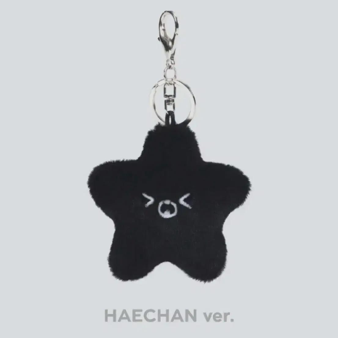 

NCT 127 Хэчан Черный Брассари