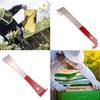 Stainless Steel Multi-Purpose Beekeeping Scraper Harvest Knife