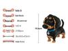 BeleDi Micro Building Blocks: Educational Pet Model Toy for Kids