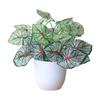 False Plants Artificial Flower Bonsai Simulated Tree Pot Plants Potted Ornaments  Home Garden Decor