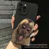 Trend Monkey for Apple 15 Mobile Phone Case Iphone12promax Set 14/13/11/XSMAX Pupil Eye 16