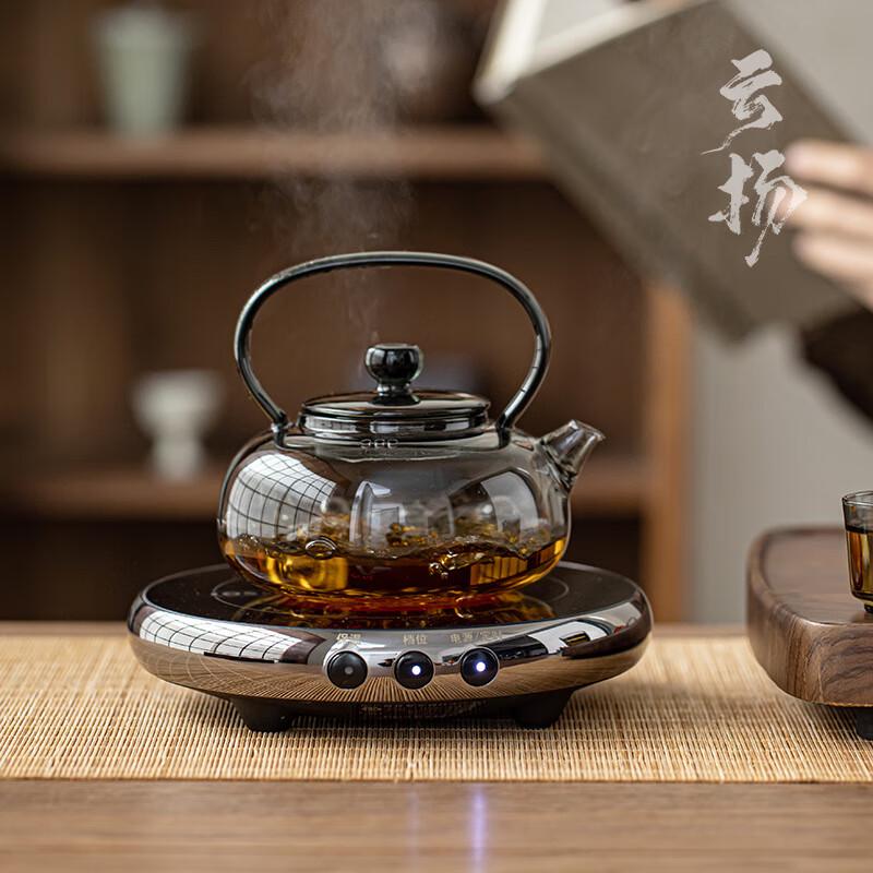 Borosilicate Glass Tea Maker with Handle