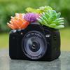 KIKTOP Plant Pot Indoor Succulent Planter Camera Home Decor Small Flower Pot Indoor Desk for Plants Bookshelf Decor Gift Succulent Pot with Drainage