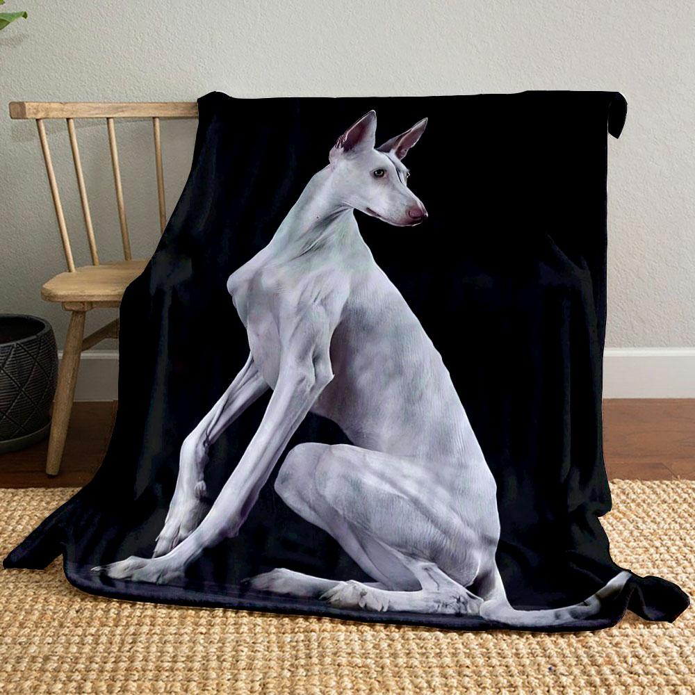 

White Ibizan Hound Blanket bedroom Blanket for Livingroom Couch lunch break Soft throw for Friend s festival Gift 80cm x 120cm