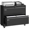 Mobile Pedestal with 2 Drawers Lockable Filing Cabinet with Adjustable Hanging File Rail 90 X 40 X 77.4 Cm Black